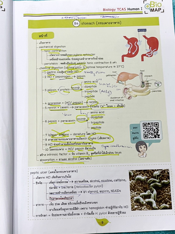 ►ชีววิทยา ม.ปลาย◄ หนังสือกวดวิชาออนดีมานด์ ชีววิทยาพี่วิเวียน TCAS ครบเซ็ท 6 เล่ม + ไฟล์โจทย์ข้อสอบปี 2565-2566 และเฉลยละเอียด - ในหนังสือมีสรุปเนื้อหาวิชาชีววิทยา ม.ปลายอย่างละเอียด เนื้อหาครอบคลุมตั้งแต่ระดับชั้น ม.4-5-6 เนื้อหาลึกถึงสอบเข้ามหาลัย หนังส