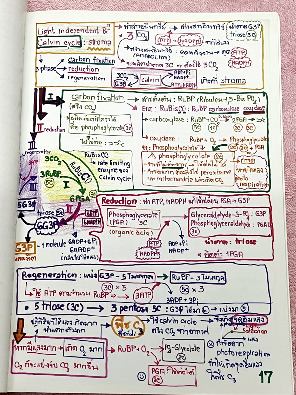 ►หมอพิชญ์ Biobeam◄ Art Beam Shortnote อาร์ทบีม หมอพิชญ์ไบโอบีม หนังสือสรุปเนื้อหาวิชาชีววิทยาทั้งหมดในระดับชั้น ม.ปลาย ทั้งเล่มเขียนด้วยลายมือของหมอพิชญ์ // อาจารย์ลงมือเขียนและวาดรูปเองทุกหน้า หนังสือมีสภาพยับเล็กน้อย หนังสือพิมพ์สีสวยงาม ใช้กระดาษอาร์ทม