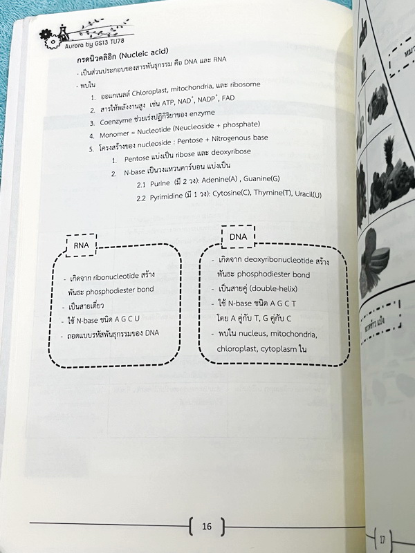 ►หนังสือรุ่นพี่เตรียมอุดม◄ Aurora หนังสือสรุปวิทยาศาสตร์ ม.ต้น เพื่อใช้สอบเข้า ม.4 ร.ร.ชั้นนำทั่วประเทศ สรุปเนื้อหาวิทย์ครบทุกวิชาชีวะ ฟิสิกส์ เคมี วิทย์กายภาพ มี GS Point เทคนิคการจำลัดสอดแทรกตามหน้าต่างๆ มีข้อสอบทบทวนทุกวิชา พร้อมเฉลย+เฉลยละเอียด ในหนัง