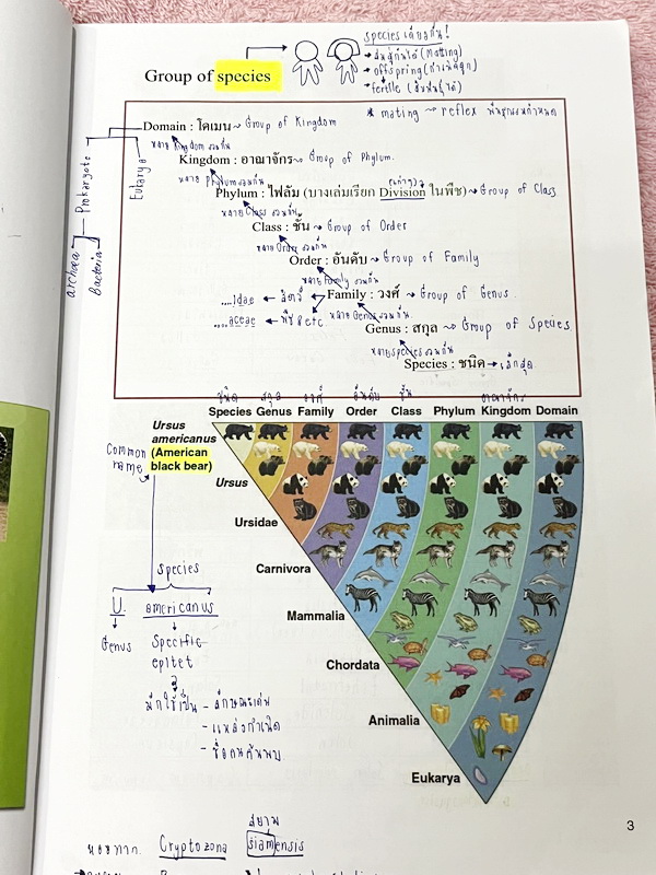 ►ชีววิทยา ม.ต้น◄ หนังสือกวดวิชาหมอพิชญ์ไบโอบีม Fundamental Biology ชีววิทยา ม.ต้น Biobeam สรุปเนื้อหาทุกบทในวิชาวิทยาศาสตร์ชีววิทยา ระดับชั้นมัธยมศึกษาตอนต้น ม.1-2-3 เนื้อหายากลึกถึงสอบเข้า ม.4 ร.ร.ดัง ในหนังสือจดครบเกือบทั้งเล่ม จดละเอียด มีวาดภาพประกอบเ