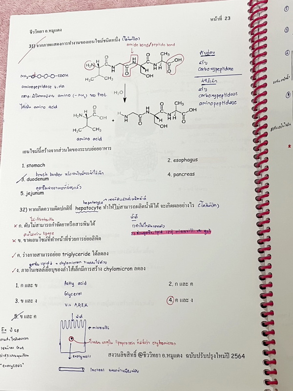 ►อ.หมูแดง◄ ชีววิทยาอาจารย์หมูแดง ชีววิทยาเพื่อสอบแพทย์ กสพท.และสอบเข้ามหาลัย จดครบเกือบทั้งเล่ม จดละเอียด หนังสือใส่ปกสันเกลียว เปิดอ่านง่าย หนังสือเล่มหนาใหญ่