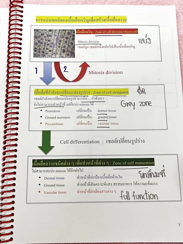 ►หมอพิชญ์ Biobeam◄ หนังสือเรียนชีววิทยา คอร์ส ICU ไอซียู ครบเซ็ท 8 เล่ม พร้อมไฟล์จดเนื้อหาครบทั้งเซ็ทแบบละเอียดมากครบทั้ง 8 เล่ม และไฟล์ชีทเสริม ในหนังสือเล่ม 1-6 จดครบเกือบทั้งเล่ม จดละเอียด มีวาดภาพประกอบเนื้อหาเยอะมาก , เล่ม 7-8 มีจดเล็กน้อย แบบฝึกหัดป