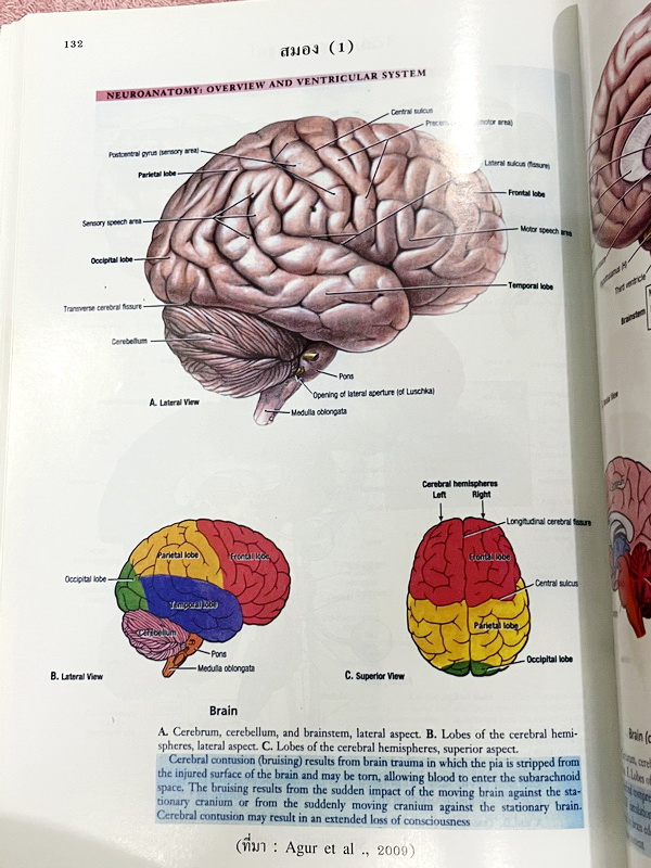 ►Eureka◄ หนังสือกวดวิชาชีววิทยา ม.ปลาย อ.เอกฤทธิ์ ยูเรก้า + สมุดโน้ตในคอร์สเรียน 1 เล่ม ในหนังสือเน้นภาพสี กราฟ ตาราง และแผนภาพเกี่ยวกับวิชาชีววิทยาในระดับชั้น ม.ปลายรวมทุกบท ส่วนใหญ่ใช้ภาษาอังกฤษ และภาษาละตินประกอบคำอธิบาย หนังสือเล่มหนาใหญ่ มีน้ำหนัก พิ