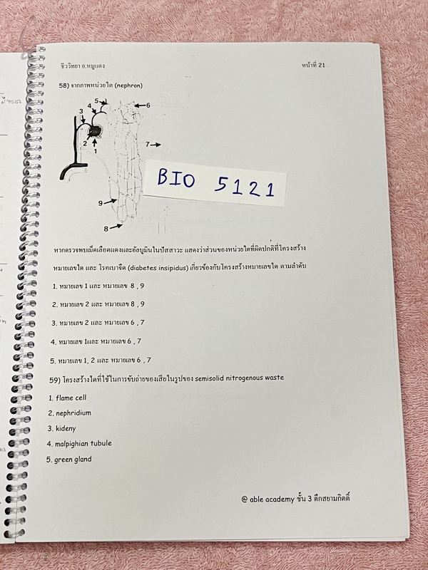 ►อ.หมูแดง◄ BIO 5121 หนังสือกวดวิชาชีววิทยา อ.หมูแดง ชีววิทยาเพื่อสอบเข้าแพทย์ กสพท. และสอบเข้ามหาวิทยาลัย Series 2 จดครบเกือบทั้งเล่ม มีวาดภาพประกอบเนื้อหาหลายหน้า มีจดเฉลยในกระดาษฝั่งซ้ายของหนังสือ จดละเอียด หนังสือใส่ปกสันเกลียว เปิดอ่านง่าย