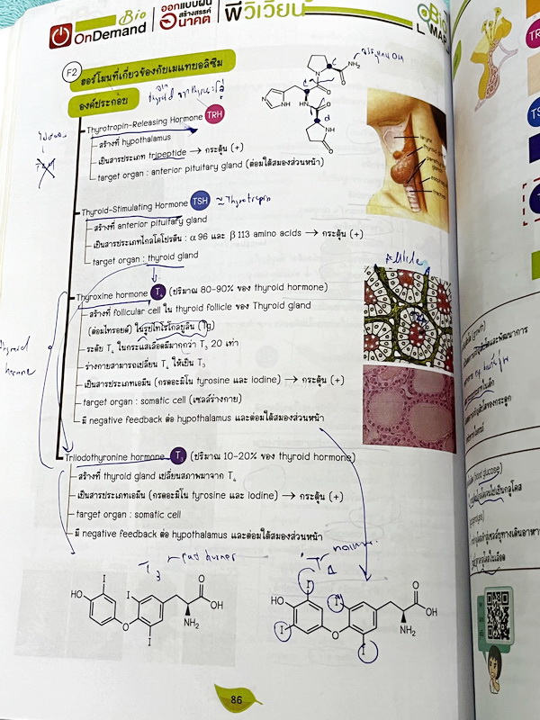 ►ชีววิทยา ม.ปลาย◄ หนังสือกวดวิชาออนดีมานด์ ชีววิทยาพี่วิเวียน TCAS ครบเซ็ท 6 เล่ม + ไฟล์โจทย์ข้อสอบปี 2565-2566 และเฉลยละเอียด - ในหนังสือมีสรุปเนื้อหาวิชาชีววิทยา ม.ปลายอย่างละเอียด เนื้อหาครอบคลุมตั้งแต่ระดับชั้น ม.4-5-6 เนื้อหาลึกถึงสอบเข้ามหาลัย หนังส