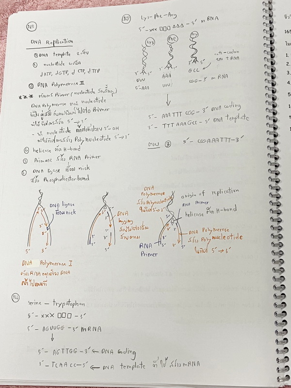 ►อ.หมูแดง◄ BIO 5121 หนังสือกวดวิชาชีววิทยา อ.หมูแดง ชีววิทยาเพื่อสอบเข้าแพทย์ กสพท. และสอบเข้ามหาวิทยาลัย Series 2 จดครบเกือบทั้งเล่ม มีวาดภาพประกอบเนื้อหาหลายหน้า มีจดเฉลยในกระดาษฝั่งซ้ายของหนังสือ จดละเอียด หนังสือใส่ปกสันเกลียว เปิดอ่านง่าย