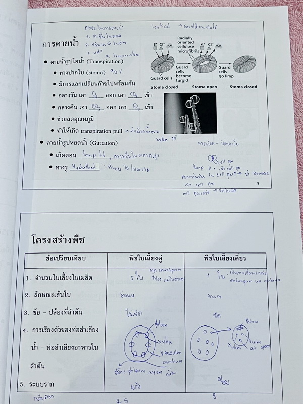 ►ครูพี่อร◄ ครูอติพร โค้งสุดท้าย ชีวะม.ต้น สรุปเนื้อหาวิชาชีววิทยาระดับชั้น ม.1-ม.3 มีจดครบเกือบทั้งเล่ม จดละเอียด ด้านหลังมีโจทย์แบบฝึกหัด มีจดเฉลยครบเกือบทุกข้อ อาจารย์มีเน้นย้ำจุดสำคัญที่ควรจำ ควรใส่ใจเป็นพิเศษ