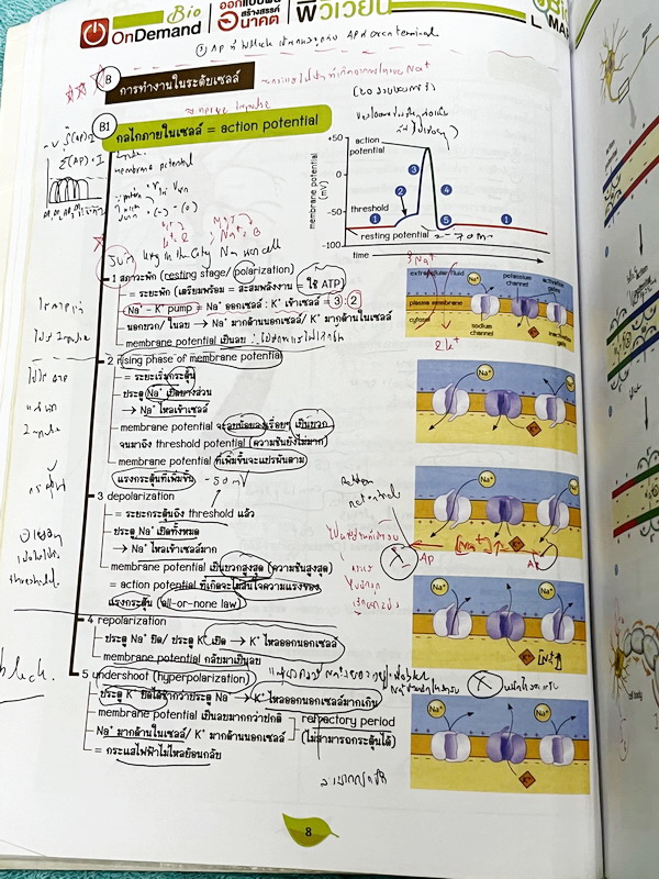 ►ชีววิทยา ม.ปลาย◄ หนังสือกวดวิชาออนดีมานด์ ชีววิทยาพี่วิเวียน TCAS ครบเซ็ท 6 เล่ม + ไฟล์โจทย์ข้อสอบปี 2565-2566 และเฉลยละเอียด - ในหนังสือมีสรุปเนื้อหาวิชาชีววิทยา ม.ปลายอย่างละเอียด เนื้อหาครอบคลุมตั้งแต่ระดับชั้น ม.4-5-6 เนื้อหาลึกถึงสอบเข้ามหาลัย หนังส