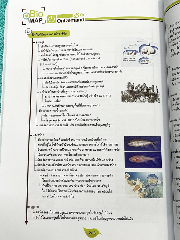 ►ออนดีมานด์◄ Bio Map ชีววิทยาพี่วิเวียน เล่ม 1+2 ครบเซ็ท สรุปเนื้อหาและสูตรสำคัญของวิชาชีววิทยา ม.ปลาย เนื้อหาพิมพ์สมบูรณ์ทั้งเล่ม พี่วิเวียนสรุปเนื้อหากระชับ บางหัวข้อสรุปเนื้อหาเป็น Mind Mapping ทำให้อ่านเข้าใจง่าย หนังสือพิมพ์สีทั้งเล่มน่าอ่าน ในหนังสื