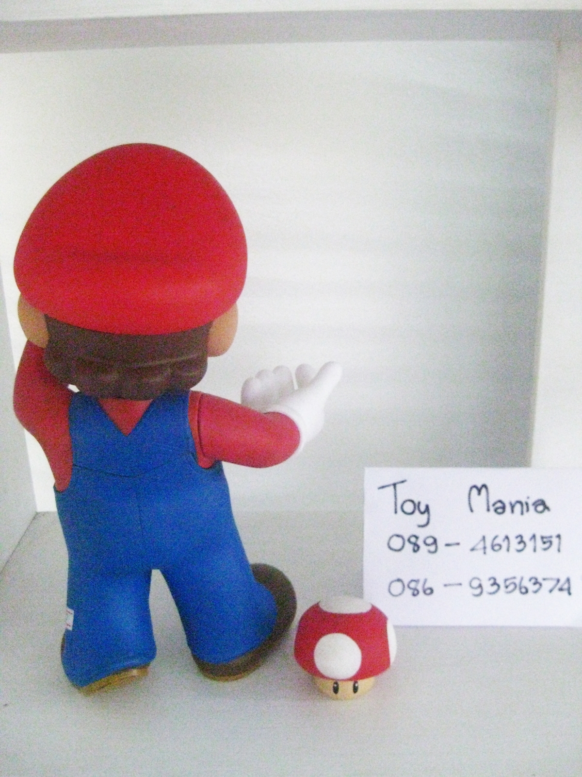 มาริโอ้ถือเห็ด