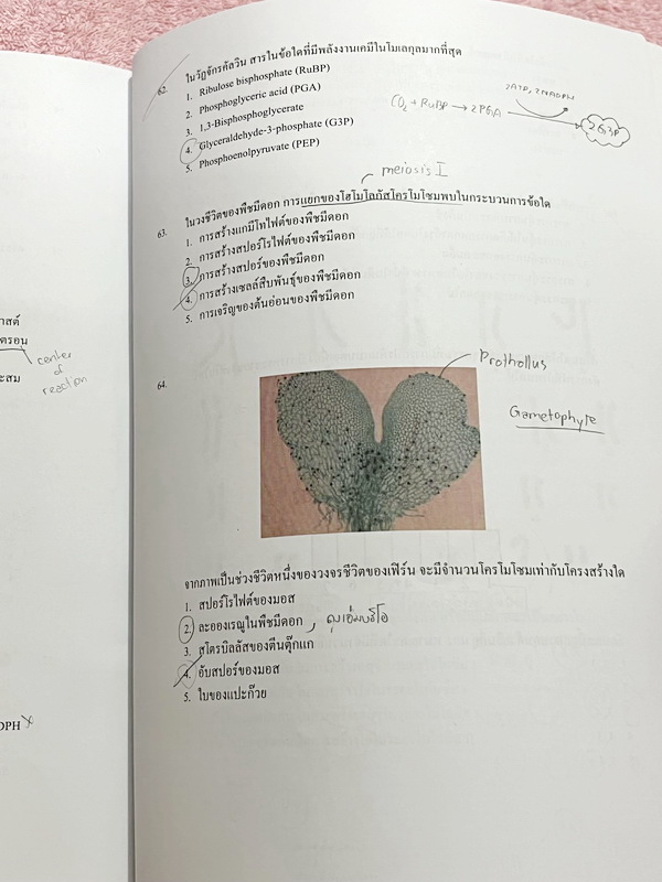 ►หมอพิชญ์ Biobeam◄ Set หนังสือคอร์ส Coma 2 เล่ม ประกอบด้วยเล่มสรุปเนื้อหาและเล่ม Quiz ตะลุยโจทย์ - เล่มสรุปเนื้อหา มีสรุปชีววิทยาระดับชั้น ม.ปลายทั้งหมด เพื่อเตรียมตัวสอบเข้ามหาวิทยาลัย เนื้อหาตีพิมพ์สมบูรณ์ทั้งเล่ม จดครบเกือบทั้งเล่ม จดละเอียด หนังสือพิม
