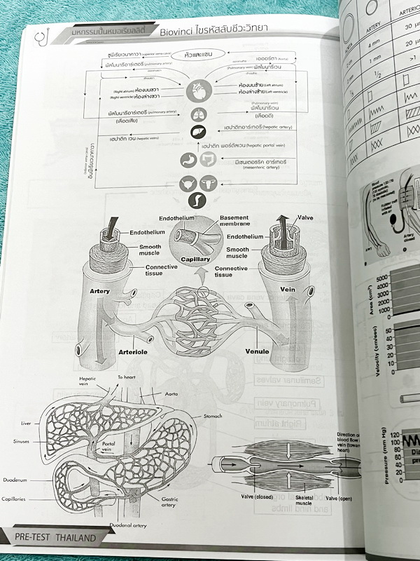 ►Biovinci◄ หนังสือกวดวิชา Biovinci ไขรหัสลับชีววิทยา มหกรรมปั้นหมอเรียลลิตี้ สรุปเนื้อหาวิชาชีววิทยาแบบย่นย่อ ให้เห็นภาพรวมแนวข้อสอบของแต่ละบททุกบท ในหนังสือมีเขียนเล็กน้อย