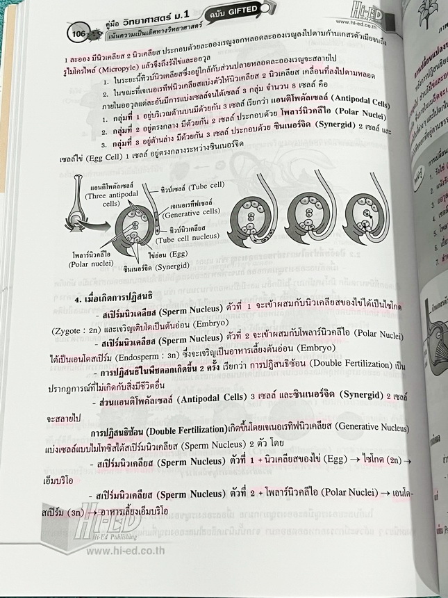 ►หนังสือวิทยาศาสตร์ม.ต้น◄ หนังสือคู่มือ Hi-ED อ.สินธุ์ธู วิทยาศาสตร์ม.1 ฉบับ Gifted เจาะลึกเนื้อหา 60 เรื่องเข้มข้น เน้นความเป็นเลิศทางวิทยาศาสตร์ เพื่อเตรียมสอบเข้าโรงเรียนเตรียมอุดม โรงเรียนมหิดล โรงเรียนกำเนิดวิทย์ โรงเรียนจุฬาภรณ์ราชวิทยาลัย โรงเรียนท