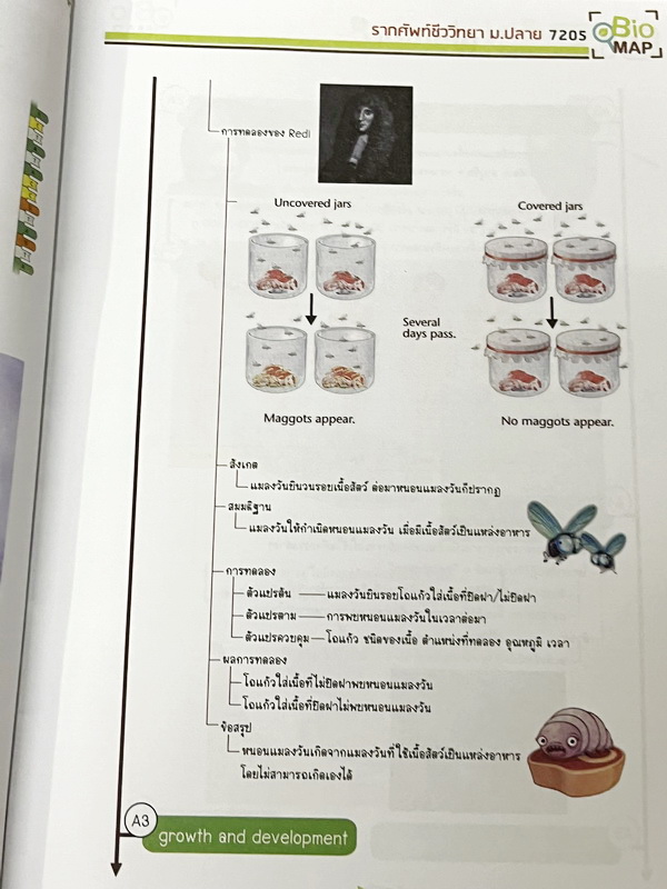 ►ออนดีมานด์◄ พี่วิเวียน หนังสือกวดวิชาคอร์สรากศัพท์ชีววิทยา ม.ปลาย ในหนังสือมีสรุปเนื้อหาสมบูรณ์ มีแยกหมวดคำศัพท์ทางชีววิทยาแบ่งออกเป็น Prefix , Suffix และ Root แบบฝึกหัดไม่มีจด และไม่มีเฉลย มี Update ข้อสอบด้านหลัง หนังสือพิมพ์สีทั้งเล่ม หนังสือหนาเพียงแ