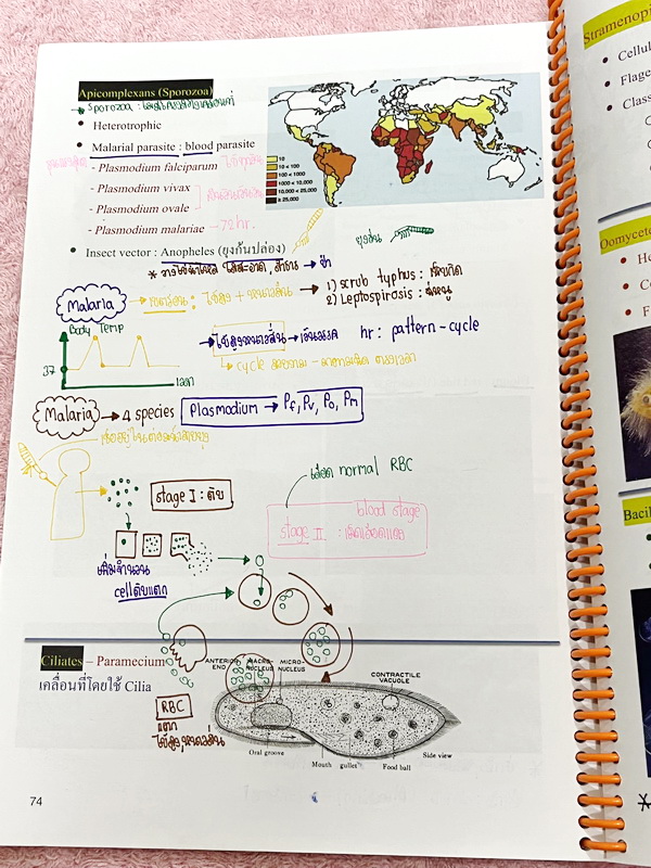 ►หมอพิชญ์ Biobeam◄ หนังสือเรียนชีววิทยา คอร์ส ICU ไอซียู ครบเซ็ท 8 เล่ม พร้อมไฟล์จดเนื้อหาครบทั้งเซ็ทแบบละเอียดมากครบทั้ง 8 เล่ม และไฟล์ชีทเสริม ในหนังสือเล่ม 1-6 จดครบเกือบทั้งเล่ม จดละเอียด มีวาดภาพประกอบเนื้อหาเยอะมาก , เล่ม 7-8 มีจดเล็กน้อย แบบฝึกหัดป