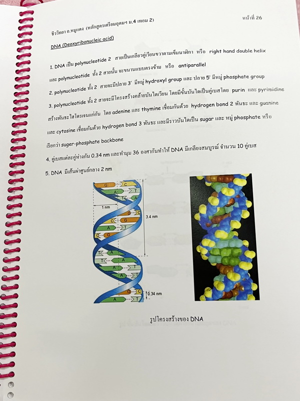 ►อ.หมูแดง◄ ชีววิทยาอาจารย์หมูแดง ชีววิทยา ม.4 เทอม 2 หลักสูตรเตรียมอุดม จดบางหน้า จดละเอียด เนื้อหาตีพิมพ์สมบูรณ์ทั้งเล่ม หนังสือใส่ปกสันเกลียว เปิดอ่านง่าย หนังสือเล่มหนาใหญ่