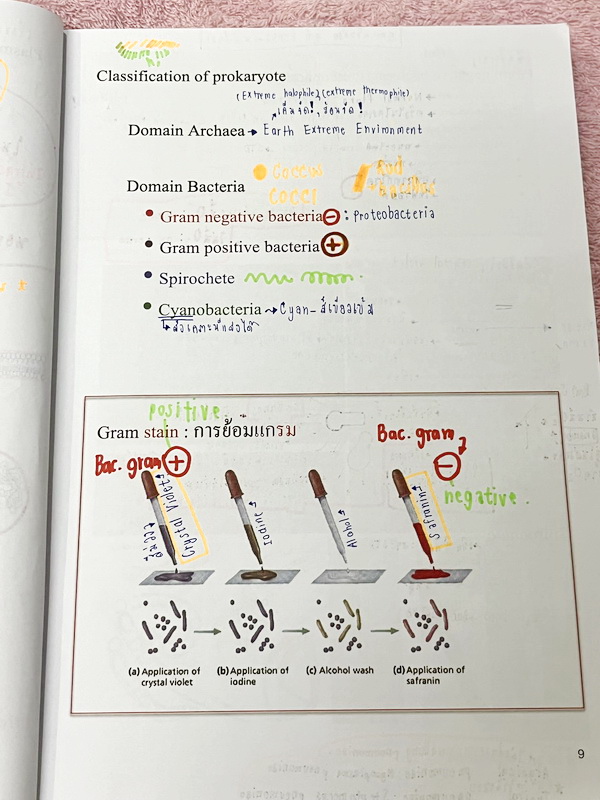 ►ชีววิทยา ม.ต้น◄ หนังสือกวดวิชาหมอพิชญ์ไบโอบีม Fundamental Biology ชีววิทยา ม.ต้น Biobeam สรุปเนื้อหาทุกบทในวิชาวิทยาศาสตร์ชีววิทยา ระดับชั้นมัธยมศึกษาตอนต้น ม.1-2-3 เนื้อหายากลึกถึงสอบเข้า ม.4 ร.ร.ดัง ในหนังสือจดครบเกือบทั้งเล่ม จดละเอียด มีวาดภาพประกอบเ