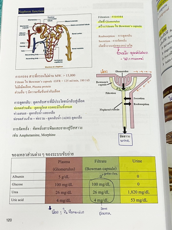 ►หมอพิชญ์ ไบโอบีม◄ Art Beam 2nd Edition อาร์ทบีมหมอพิชญ์ 2nd Edition สรุปเนื้อหาชีววิทยาทั้งหมด ครบทุกบททุกเรื่อง พิมพ์สีสวยงามทั้งเล่ม จดครบเกือบทั้งเล่ม จดละเอียด *มุมปกล่างมีรอยตัดเล็กน้อย*