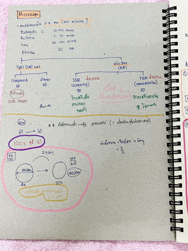 ►Eureka◄ หนังสือกวดวิชาชีววิทยา ม.ปลาย อ.เอกฤทธิ์ ยูเรก้า + สมุดโน้ตในคอร์สเรียน 1 เล่ม ในหนังสือเน้นภาพสี กราฟ ตาราง และแผนภาพเกี่ยวกับวิชาชีววิทยาในระดับชั้น ม.ปลายรวมทุกบท ส่วนใหญ่ใช้ภาษาอังกฤษ และภาษาละตินประกอบคำอธิบาย หนังสือเล่มหนาใหญ่ มีน้ำหนัก พิ