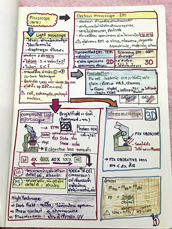 ►หมอพิชญ์ Biobeam◄ Art Beam Shortnote อาร์ทบีม หมอพิชญ์ไบโอบีม หนังสือสรุปเนื้อหาวิชาชีววิทยาทั้งหมดในระดับชั้น ม.ปลาย ทั้งเล่มเขียนด้วยลายมือของหมอพิชญ์ // อาจารย์ลงมือเขียนและวาดรูปเองทุกหน้า หนังสือมีสภาพยับเล็กน้อย หนังสือพิมพ์สีสวยงาม ใช้กระดาษอาร์ทม