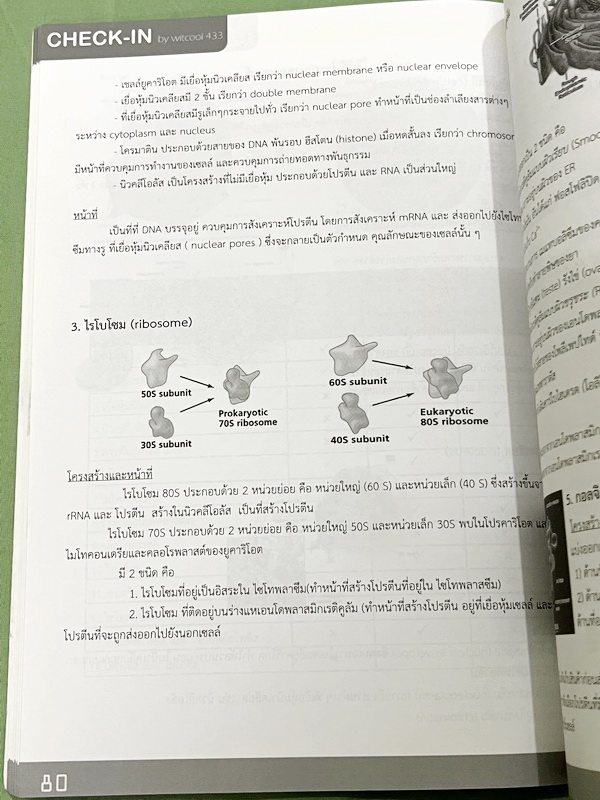 ►สอบเข้าเตรียมอุดม◄ CHECK-IN หนังสือสรุปเนื้อหาวิชาภาษาอังกฤษ สำหรับเตรียมตัวสอบเข้าชั้น ม.4 ร.ร.เตรียมอุดมศึกษาและ ร.ร.ชั้นนำ จัดทำโดยรุ่นพี่ ร.ร.เตรียมอุดมศึกษา มีสรุปเนื้อหาวิชาภาษาอังกฤษ เทคนิคการทำโจทย์ ทั้งหมดในระดับชั้น ม.ต้น มีโจทย์แบบฝึกหัดพร้อมเ
