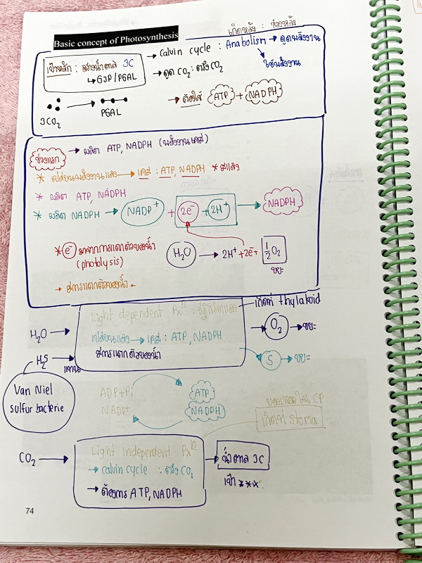 ►หมอพิชญ์ Biobeam◄ หนังสือเรียนชีววิทยา คอร์ส ICU ไอซียู ครบเซ็ท 8 เล่ม พร้อมไฟล์จดเนื้อหาครบทั้งเซ็ทแบบละเอียดมากครบทั้ง 8 เล่ม และไฟล์ชีทเสริม ในหนังสือเล่ม 1-6 จดครบเกือบทั้งเล่ม จดละเอียด มีวาดภาพประกอบเนื้อหาเยอะมาก , เล่ม 7-8 มีจดเล็กน้อย แบบฝึกหัดป