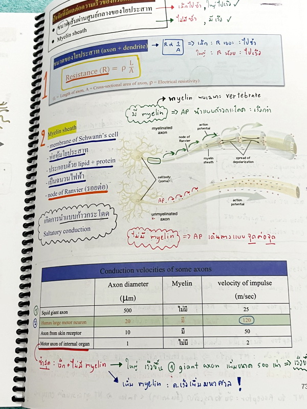 ►หมอพิชญ์ Biobeam◄ หนังสือเรียนวิชาชีววิทยาคอร์ส ICU ไอซียู ครบเซ็ท 8 เล่ม สรุปเนื้อหาระดับชั้น ม.ปลาย ทั้งหมด เนื้อหาครอบคลุมระดับชั้น ม.4-5-6 เพื่อเตรียมตัวสอบเข้ามหาวิทยาลัย สอบแพทย์ กสพท. มีโจทย์และโจทย์ข้อสอบจริงประจำบท ในหนังสือเล่ม 1-5 จดครบเกือบทั