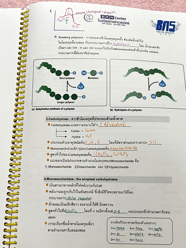 ►ครูบาส◄ หนังสือเรียนพิเศษ Basic Bio M.4 ในหนังสือมีสรุปเนื้อหาและตัวอย่างข้อสอบ จดครบเกือบทั้งเล่ม จดละเอียดด้วยปากกาสี ลายมือจดน้องผู้หญิงเป็นระเบียบเรียบร้อย ตั้งใจเรียน หนังสือพิมพ์สีสวยงามทั้งเล่ม หนังสือใส่ปกสันเกลียว เปิดอ่านง่าย