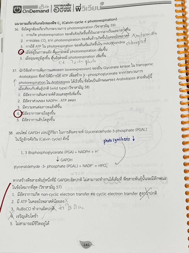 ►ชีววิทยา A-Level◄ หนังสือกวดวิชาออนดีมานด์ Upskill อัพสกิลชีววิทยา A-Level เล่ม 1-2 มีสรุปเนื้อหาสำคัญสั้นๆกระชับ เพื่อใช้เตรียมสอบ ม.ปลาย A-Level มีโจทย์เยอะมาก จดครบเกือบทั้งเล่ม จดละเอียด มีจดเน้นจุดที่ออกสอบบ่อยๆ หนังสือเล่มใหญ่ หนังสือใส่ปกสันเกลียว