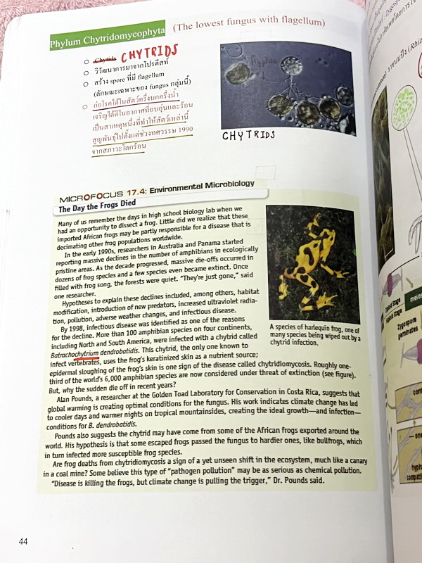 ►ชีววิทยา ม.ต้น◄ หนังสือกวดวิชาหมอพิชญ์ไบโอบีม Fundamental Biology ชีววิทยา ม.ต้น Biobeam สรุปเนื้อหาทุกบทในวิชาวิทยาศาสตร์ชีววิทยา ระดับชั้นมัธยมศึกษาตอนต้น ม.1-2-3 เนื้อหายากลึกถึงสอบเข้า ม.4 ร.ร.ดัง ในหนังสือจดครบเกือบทั้งเล่ม จดละเอียด มีวาดภาพประกอบเ