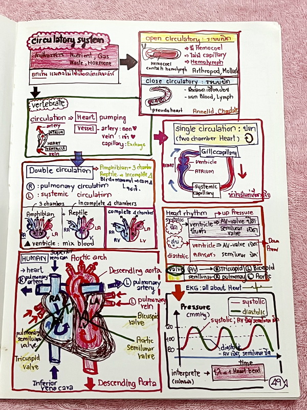 ►หมอพิชญ์ Biobeam◄ Art Beam Shortnote อาร์ทบีม หมอพิชญ์ไบโอบีม หนังสือสรุปเนื้อหาวิชาชีววิทยาทั้งหมดในระดับชั้น ม.ปลาย ทั้งเล่มเขียนด้วยลายมือของหมอพิชญ์ // อาจารย์ลงมือเขียนและวาดรูปเองทุกหน้า หนังสือมีสภาพยับเล็กน้อย หนังสือพิมพ์สีสวยงาม ใช้กระดาษอาร์ทม