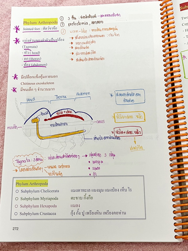 ►หมอพิชญ์ Biobeam◄ หนังสือเรียนชีววิทยา คอร์ส ICU ไอซียู ครบเซ็ท 8 เล่ม พร้อมไฟล์จดเนื้อหาครบทั้งเซ็ทแบบละเอียดมากครบทั้ง 8 เล่ม และไฟล์ชีทเสริม ในหนังสือเล่ม 1-6 จดครบเกือบทั้งเล่ม จดละเอียด มีวาดภาพประกอบเนื้อหาเยอะมาก , เล่ม 7-8 มีจดเล็กน้อย แบบฝึกหัดป