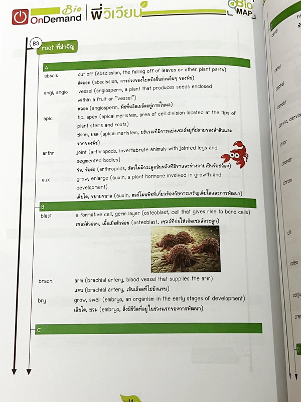 ►ออนดีมานด์◄ พี่วิเวียน หนังสือกวดวิชาคอร์สรากศัพท์ชีววิทยา ม.ปลาย ในหนังสือมีสรุปเนื้อหาสมบูรณ์ มีแยกหมวดคำศัพท์ทางชีววิทยาแบ่งออกเป็น Prefix , Suffix และ Root แบบฝึกหัดไม่มีจด และไม่มีเฉลย มี Update ข้อสอบด้านหลัง หนังสือพิมพ์สีทั้งเล่ม หนังสือหนาเพียงแ