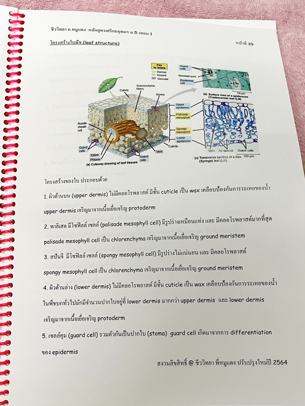 ►อ.หมูแดง◄ ชีววิทยาอาจารย์หมูแดง ชีววิทยา ม.5 เทอม 1 หลักสูตรเตรียมอุดม จดเล็กน้อย เนื้อหาตีพิมพ์สมบูรณ์ทั้งเล่ม หนังสือใส่ปกสันเกลียว เปิดอ่านง่าย หนังสือเล่มหนาใหญ่