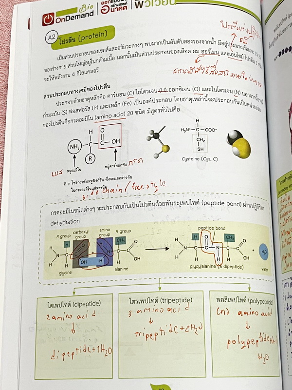 ►ออนดีมานด์◄ Set หนังสือเรียนพิเศษ + ไฟล์เฉลย วิชาวิทยาศาสตร์ ม.ต้น ชีววิทยาพี่วิเวียน เล่ม 1-8 ครบเซ็ท 8 เล่ม ครอบคลุมเนื้อหาตั้งแต่ระดับชั้นม.ต้น ม.1-2-3 เนื้อหายากลึกถึงสอบเข้า ม.4 โรงเรียนดัง จดบางหน้า จดละเอียด มีจดเทคนิคลัดการทำโจทย์ หนังสือพิมพ์สีใ