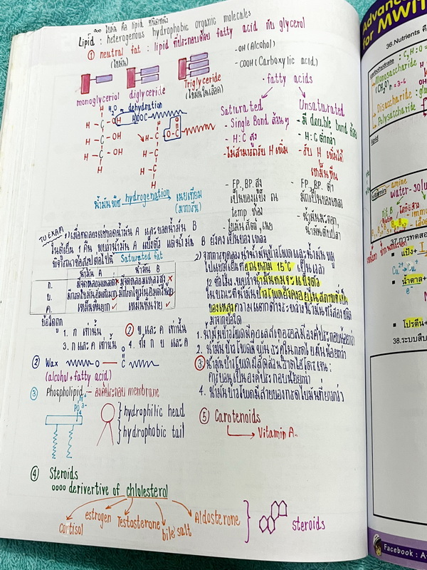 ►สอบเข้า MWIT◄ ครูพี่บาส Advanced Biology for MWIT Exam + ชีทเสริม หนังสือสรุปเนื้อหาวิชาชีววิทยาเพื่อสอบเข้า ม.4 มหิดล มีโจทย์ข้อสอบและแนวข้อสอบที่น่าสนใจ ในหนังสือจดครบเกือบทั้งเล่ม จดละเอียด จดเป็นระเบียบ ตั้งใจเรียน ชีทเสริมมีจดครบทั้งหมด หนังสือพิมพ์