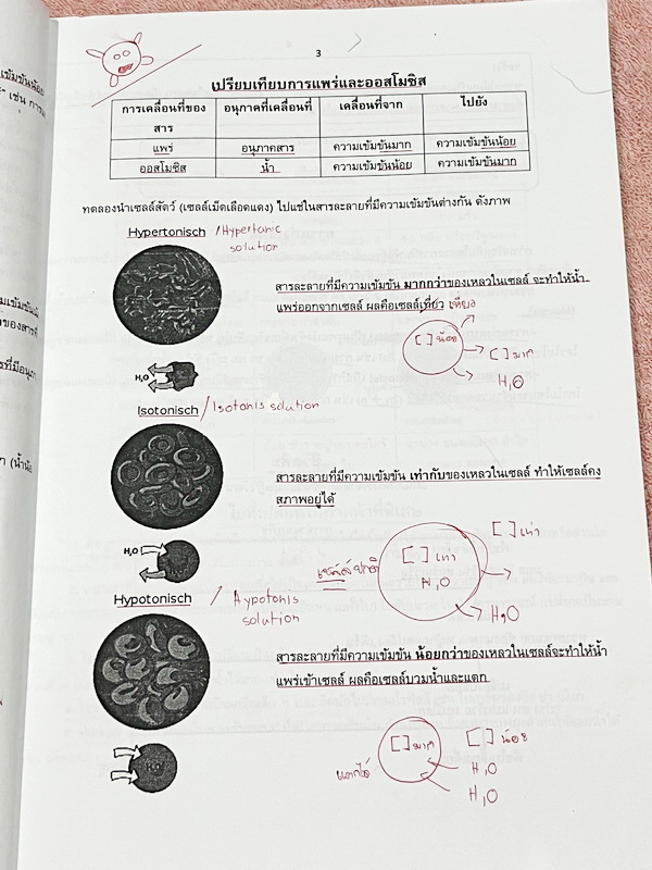 ►สอบเข้าม.1◄ หนังสือกวดวิชาครูพจน์ Gifted วิทยาศาสตร์เนื้อหาชีวะเล่ม1+2 ห้องกิ๊ฟเต็ด ป.6 มีสรุปเนื้อหาสำคัญ โจทย์มีความยากเข้มข้นระดับ Advaned ทั้งเนื้อหาและโจทย์มีความยากลึกถึงเตรียมตัวสอบเข้า ม.1 ร.ร.ดัง จดบางหน้า มีเฉลยละเอียดพร้อมเหตุผลอย่างละเอียดบาง