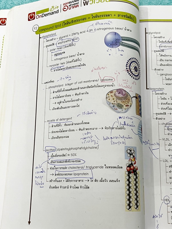 ►ชีววิทยา ม.ปลาย◄ หนังสือกวดวิชาออนดีมานด์ ชีววิทยาพี่วิเวียน TCAS ครบเซ็ท 6 เล่ม + ไฟล์โจทย์ข้อสอบปี 2565-2566 และเฉลยละเอียด - ในหนังสือมีสรุปเนื้อหาวิชาชีววิทยา ม.ปลายอย่างละเอียด เนื้อหาครอบคลุมตั้งแต่ระดับชั้น ม.4-5-6 เนื้อหาลึกถึงสอบเข้ามหาลัย หนังส