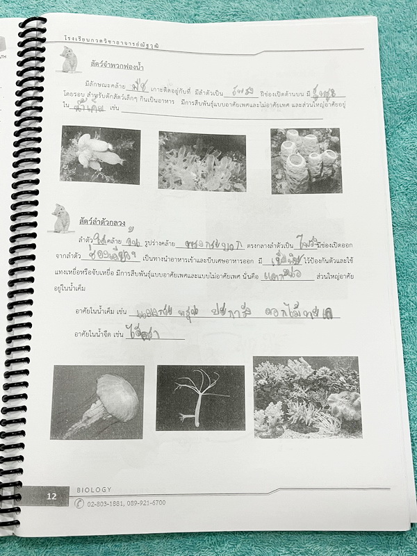►วิทย์ประถมปลาย◄ หนังสือ อ.ณัฐวุฒิ SCI Primary Pro 1-2 วิทยาศาสตร์ประถมปลาย เตรียมความพร้อมสอบเข้า ม.1 สรุปเนื้อหาสำคัญ มีโจทย์ทบทวนความรู้ จดครบเกือบทั้งเล่ม จดละเอียด ด้านหลังมีเว้นว่างไปบ่างไม่ได้จด
