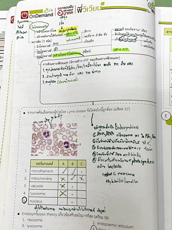 ►สอบเข้ากำเนิดวิทย์, มหิดล,เตรียมอุดม◄ หนังสือกวดวิชาออนดีมานด์ พี่วิเวียน ติวเข้มเนื้อหาชีววิทยาสอบเข้าเตรียมอุดม มหิดล กำเนิดวิทย์ และโรงเรียนแข่งขันสูง มีสรุปเนื้อหาและโจทย์แบบฝึกหัดประจำบท โจทย์มีความยากระดับ Advanced เหมาะสำหรับเด็กที่มีพื้นฐานดี โจท