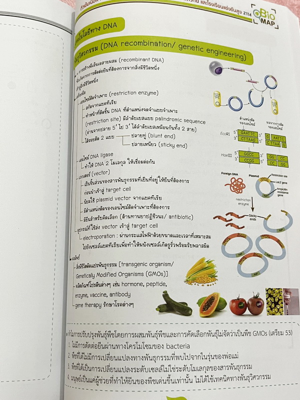 ►สอบเข้ากำเนิดวิทย์, มหิดล,เตรียมอุดม◄ หนังสือกวดวิชาออนดีมานด์ พี่วิเวียน ติวเข้มเนื้อหาชีววิทยา สอบเข้าเตรียมอุดม มหิดล กำเนิดวิทย์ และโรงเรียนแข่งขันสูง มีสรุปเนื้อหาและโจทย์แบบฝึกหัดประจำบท โจทย์มีความยากระดับ Advanced เหมาะสำหรับเด็กที่มีพื้นฐานดี โจ