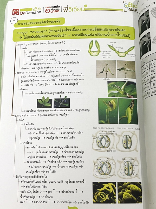 ►สอบเข้ากำเนิดวิทย์,มหิดล,เตรียมอุดม◄ หนังสือกวดวิชาออนดีมานด์ พี่วิเวียน ติวเข้มเนื้อหาชีววิทยา สอบเข้าเตรียมอุดม มหิดล กำเนิดวิทย์ และโรงเรียนแข่งขันสูง มีสรุปเนื้อหาและโจทย์แบบฝึกหัดประจำบท เนื้อหาตีพิมพ์สมบูรณ์ โจทย์มีความยากระดับ Advanced เหมาะสำหรับ