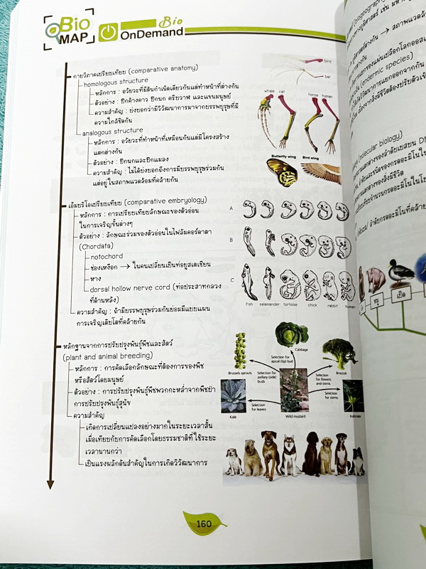 ►หนังสือสรุปชีววิทยา◄ หนังสือกวดวิชา Ondemand ออนดีมานด์ พี่วิเวียน นพ.วีรวัช Biomap ชีววิทยาเล่ม 1+2 สรุปเนื้อหาวิชาชีววิทยาระดับชั้น ม.ปลายทั้งหมด ครอบคลุมเนื้อหาตั้งแต่ชั้น ม.4-5-6 เนื้อหาลึกถึงสอบเข้ามหาวิทยาลัย เนื้อหาตีพิมพ์สมบูรณ์ หนังสือพิมพ์สีสวย