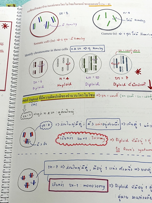 ►หมอพิชญ์ Biobeam◄ หนังสือเรียนวิชาชีววิทยาคอร์ส ICU ไอซียู ครบเซ็ท 8 เล่ม สรุปเนื้อหาระดับชั้น ม.ปลาย ทั้งหมด เนื้อหาครอบคลุมระดับชั้น ม.4-5-6 เพื่อเตรียมตัวสอบเข้ามหาวิทยาลัย สอบแพทย์ กสพท. มีโจทย์และโจทย์ข้อสอบจริงประจำบท ในหนังสือเล่ม 1-5 จดครบเกือบทั