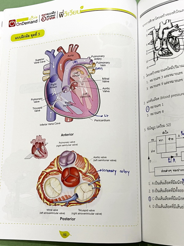 ►สอบเข้าเตรียมอุดม◄ หนังสือกวดวิชาออนดีมานด์ พี่วิเวียน Upskill ตะลุยโจทย์ชีวะสอบเข้าเตรียมอุดม รวมโจทย์ข้อสอบวิชาชีววิทยาเพื่อเตรียมตัวสอบเข้าเตรียมอุดม โจทย์มีความยากระดับ Advanced เหมาะสำหรับเด็กที่มีพื้นฐานดี มีจดเฉลยครบเกือบทั้งเล่ม จดละเอียด