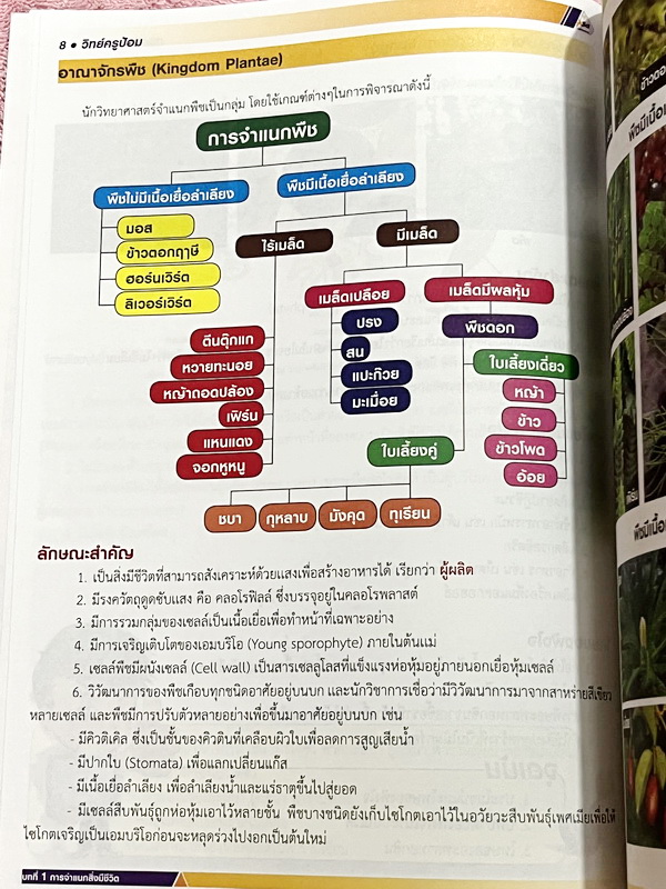►สอบเข้า ม.1 GIFTED◄ หนังสือกวดวิชาครูป้อม อ.ธนากร สรุปเข้มวิทยาศาสตร์ระดับประถม Science for Gifted เพื่อเตรียมตัวสอบแข่งขันระดับประเทศและสอบเข้า ม.1 โรงเรียนชั้นนำ มีสรุปเนื้อหาสำคัญ เนื้อหาตีพิมพ์สมบูรณ์ทั้งเล่ม เนื้อหายากลึกถึงสอบแข่งขันโอลิมปิกระดับปร