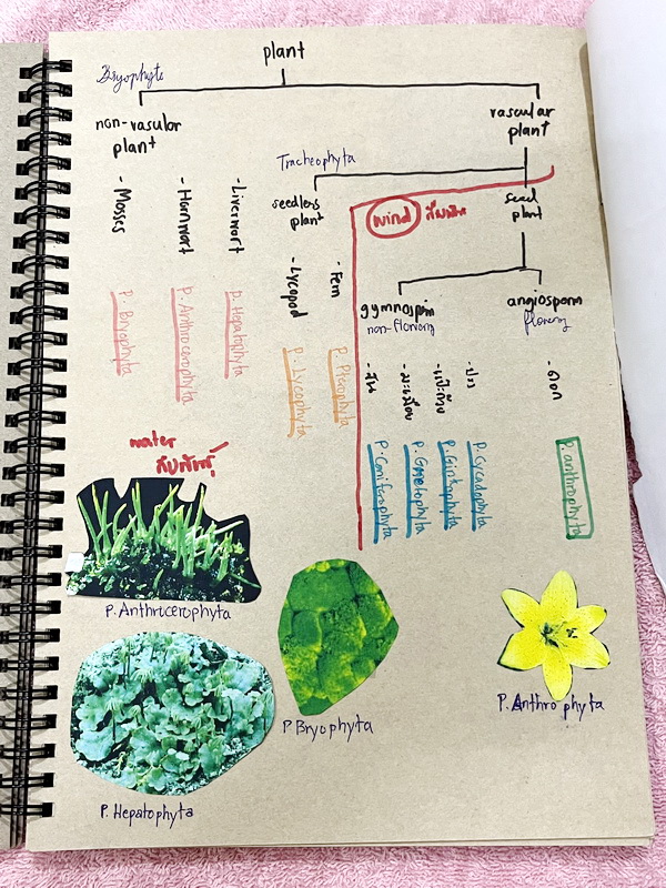 ►Eureka◄ หนังสือกวดวิชาชีววิทยา ม.ปลาย อ.เอกฤทธิ์ ยูเรก้า + สมุดโน้ตในคอร์สเรียน 1 เล่ม ในหนังสือเน้นภาพสี กราฟ ตาราง และแผนภาพเกี่ยวกับวิชาชีววิทยาในระดับชั้น ม.ปลายรวมทุกบท ส่วนใหญ่ใช้ภาษาอังกฤษ และภาษาละตินประกอบคำอธิบาย หนังสือเล่มหนาใหญ่ มีน้ำหนัก พิ