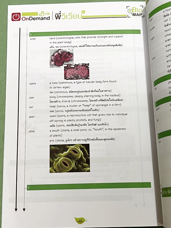 ►ออนดีมานด์◄ พี่วิเวียน หนังสือกวดวิชาคอร์สรากศัพท์ชีววิทยา ม.ปลาย ในหนังสือมีสรุปเนื้อหาสมบูรณ์ มีแยกหมวดคำศัพท์ทางชีววิทยาแบ่งออกเป็น Prefix , Suffix และ Root แบบฝึกหัดไม่มีจด และไม่มีเฉลย มี Update ข้อสอบด้านหลัง หนังสือพิมพ์สีทั้งเล่ม หนังสือหนาเพียงแ