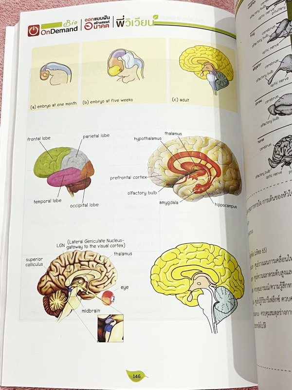 ►สอบเข้ากำเนิดวิทย์,มหิดล,โรงเรียนแข่งขันสูง◄ หนังสือกวดวิชาออนดีมานด์ พี่วิเวียน ติวเข้มเนื้อหาชีววิทยา สอบเข้า มหิดล กำเนิดวิทย์ และโรงเรียนแข่งขันสูง มีสรุปเนื้อหาและโจทย์แบบฝึกหัดประจำบท เนื้อหาตีพิมพ์สมบูรณ์ โจทย์มีความยากระดับ Advanced เหมาะสำหรับเด
