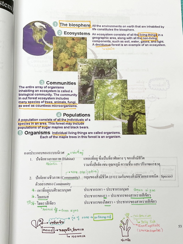 ►หนังสือเรียนชีวะ ม.ต้น◄ หนังสือกวดวิชาหมอพิชญ์ไบโอบีม Fundamental Biology ชีววิทยา ม.ต้น Biobeam สรุปเนื้อหาทุกบทในวิชาวิทยาศาสตร์ชีววิทยาระดับชั้นมัธยมศึกษาตอนต้น เนื้อหายากลึกถึงสอบเข้า ม.4 ร.ร.ดัง จดครบเกือบทั้งเล่ม จดด้วยดินสอและปากกาสีสวยงาม มีวาดรู